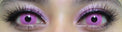 Sweety Crazy Posy Pink (1 lens/pack)-Crazy Contacts-UNIQSO Canada
