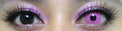 Sweety Crazy Posy Pink (1 lens/pack)-Crazy Contacts-UNIQSO Canada
