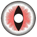 Sweety Crazy Sexy Cat Eye Red (1 lens/pack)-Crazy Contacts-UNIQSO Canada