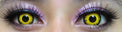 Sweety Crazy Solar Eclipse (1 lens/pack)-Crazy Contacts-UNIQSO Canada