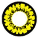 Sweety Crazy Splashy Rage (1 lens/pack)-Crazy Contacts-UNIQSO Canada