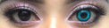 Sweety Crazy Undead Fusion Blue (1 lens/pack)-Crazy Contacts-UNIQSO Canada