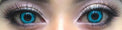 Sweety Crazy Undead Fusion Blue (1 lens/pack)-Crazy Contacts-UNIQSO Canada
