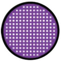 Sweety Crazy Violet Mesh Rim (1 lens/pack)-Crazy Contacts-UNIQSO Canada