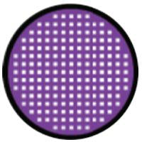 Sweety Crazy Violet Mesh Rim (1 lens/pack)-Crazy Contacts-UNIQSO Canada