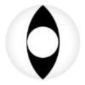 Sweety Crazy White Cat (1 lens/pack)-Crazy Contacts-UNIQSO Canada