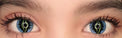 Sweety Crazy Xorn (1 lens/pack)-Crazy Contacts-UNIQSO Canada