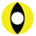 Sweety Crazy Yellow Cat (1 lens/pack)-Crazy Contacts-UNIQSO