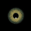 Sweety Magnificent Amazonia Green (1 lens/pack)-Colored Contacts-UNIQSO Canada