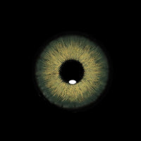 Sweety Magnificent Amazonia Green (1 lens/pack)-Colored Contacts-UNIQSO Canada