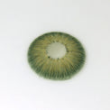 Sweety Magnificent Amazonia Green (1 lens/pack)-Colored Contacts-UNIQSO Canada