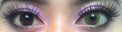 Sweety Ocean Brown Green (1 lens/pack)-Colored Contacts-UNIQSO Canada