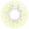 Sweety Ocean Brown Green (1 lens/pack)-Colored Contacts-UNIQSO Canada
