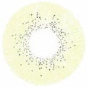 Sweety Ocean Brown Green (1 lens/pack)-Colored Contacts-UNIQSO Canada