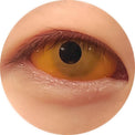Sweety Orange Sclera Contacts (1 lens/pack)-Sclera Contacts-UNIQSO Canada