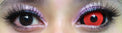 Sweety Sclera Contacts Red Dracul (1 lens/pack)-Sclera Contacts-UNIQSO Canada