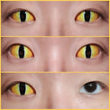 Sweety Sclera Contacts Sauron Yellow (1 lens/pack)-Sclera Contacts-UNIQSO Canada