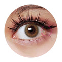 Sweety Venus Grey (1 lens/pack)-Colored Contacts-UNIQSO Canada