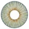 Urban Layer Angeles Grey (1 lens/pack)-Colored Contacts-UNIQSO Canada