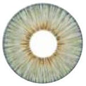 Urban Layer Angeles Grey (1 lens/pack)-Colored Contacts-UNIQSO Canada