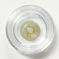 Urban Layer Angeles N Grey (1 lens/pack)-Colored Contacts-UNIQSO