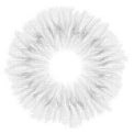 Urban Layer Aurora Grey (1 lens/pack)-Colored Contacts-UNIQSO Canada
