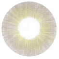 Urban Layer Cloud Deep Grey (1 lens/pack)-Colored Contacts-UNIQSO Canada