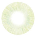 Urban Layer Dimona Grey (1 lens/pack)-Colored Contacts-UNIQSO Canada