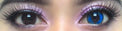 Urban Layer Galaxy Blue (1 lens/pack)-Colored Contacts-UNIQSO Canada