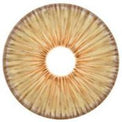 Urban Layer New York Brown (1 lens/pack)-Colored Contacts-UNIQSO Canada
