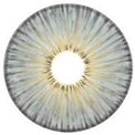 Urban Layer New York Grey (1 lens/pack)-Colored Contacts-UNIQSO Canada
