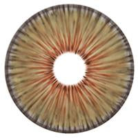Urban Layer New York Hazel - NEW (1 lens/pack)-Colored Contacts-UNIQSO Canada