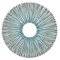 Urban Layer New York Jade- NEW (1 lens/pack)-Colored Contacts-UNIQSO Canada