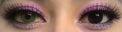 Urban Layer Universe Brown - aka Spatax Love Brown (1 lens/pack)-Colored Contacts-UNIQSO Canada