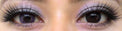 Western Eyes Hybrid Violet (1 lens/pack)-Colored Contacts-UNIQSO Canada