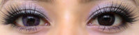 Western Eyes Hybrid Violet (1 lens/pack)-Colored Contacts-UNIQSO Canada