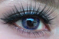 Western Eyes Hybrid Violet (1 lens/pack)-Colored Contacts-UNIQSO Canada