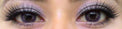 Western Eyes Hybrid Violet (1 lens/pack)-Colored Contacts-UNIQSO Canada