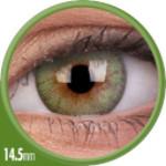 Colorvue Cheerful Fresh Green (2 lenses/pack)-Colored Contacts-UNIQSO