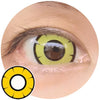 Kazzue Twilight Yellow (1 lens/pack)-Colored Contacts-UNIQSO
