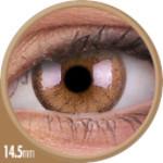 Colorvue Cheerful Woody Brown (2 lenses/pack)-Colored Contacts-UNIQSO